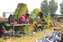 五色草造型工廠(chǎng)