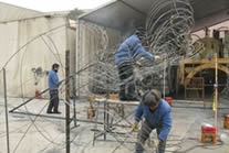 五色草造型工廠(chǎng)